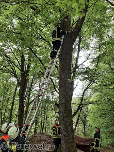 Techn. Hilfeleistung Techn. Hilfeleistung